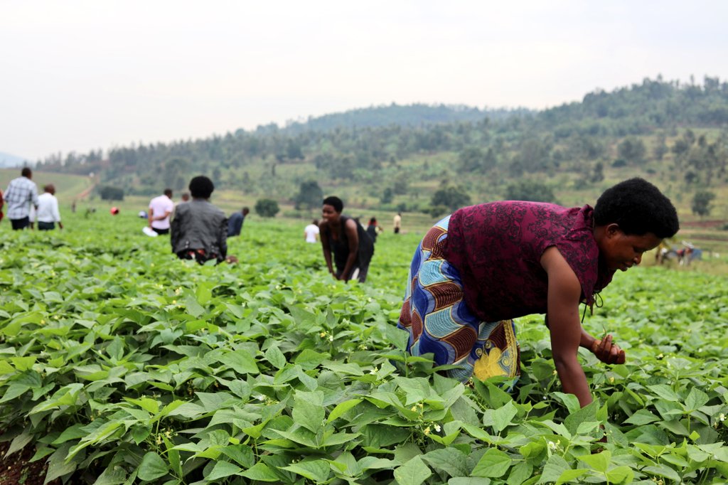 Regenerative and climate-smart agriculture