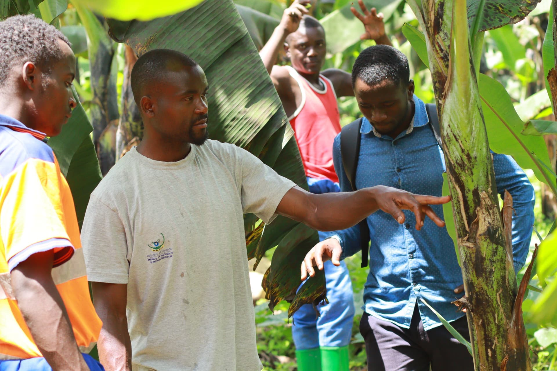 GKG community work in Musanze, Rwanda