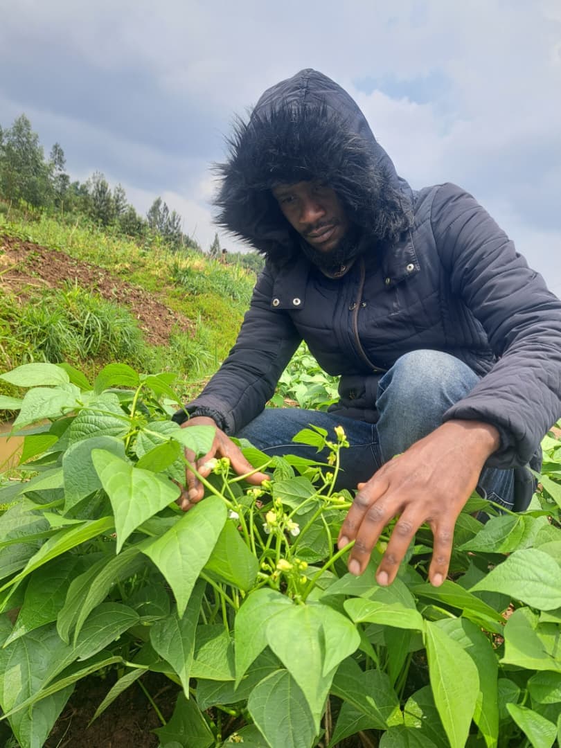 Farmer tending crops in a GKG-supported field