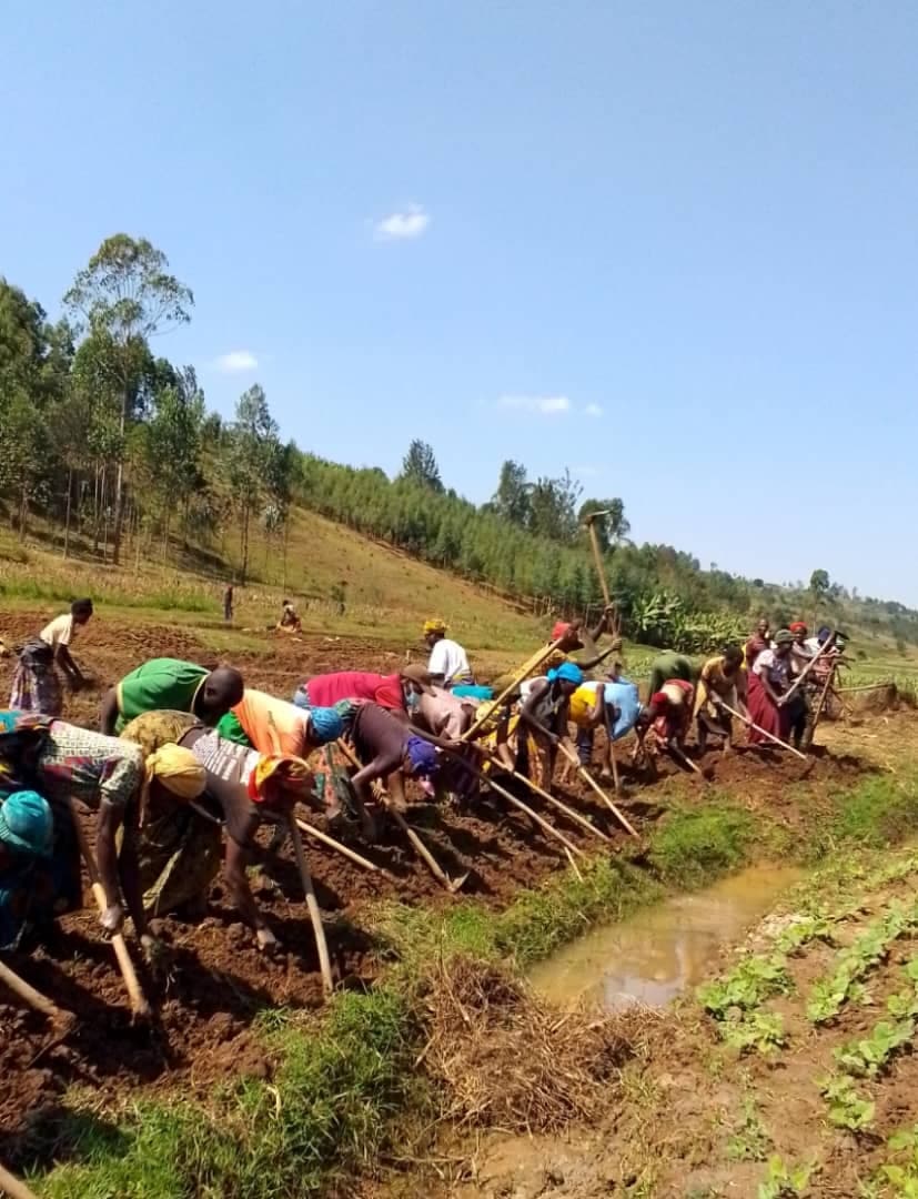 Women farmers empowered through GKG climate-smart agriculture in Rwanda